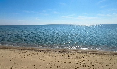  - фото нерухомості  